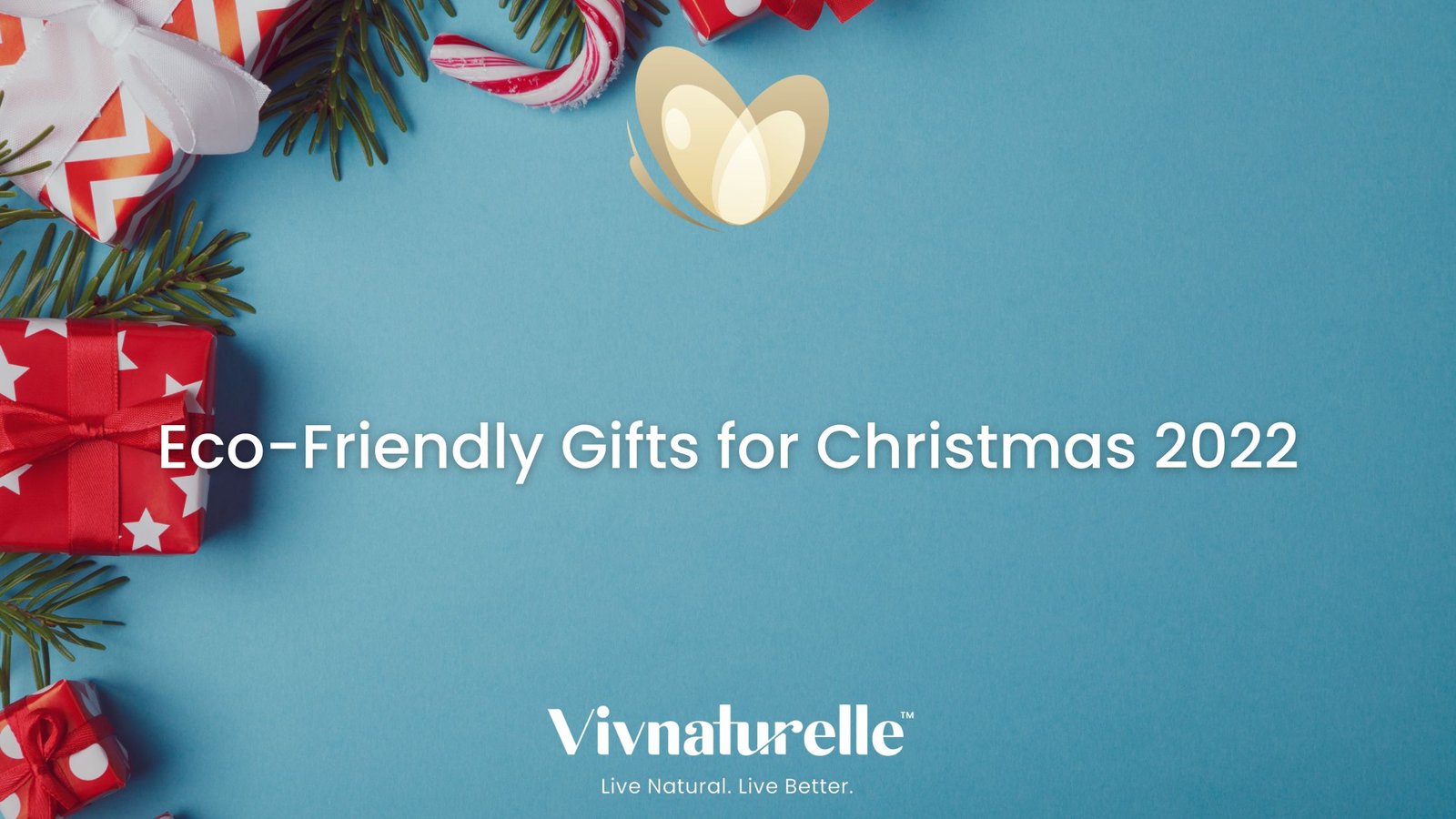 EcoFriendly Gifts for Christmas 2022 Vivnaturelle